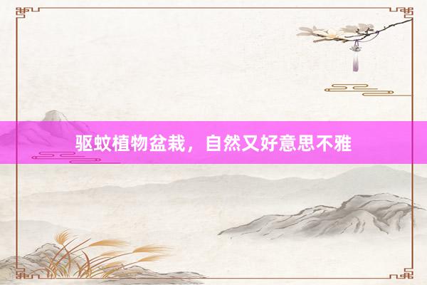 驱蚊植物盆栽，自然又好意思不雅