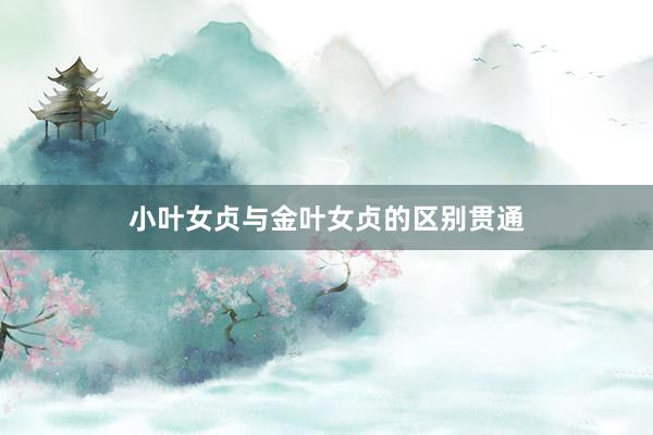 小叶女贞与金叶女贞的区别贯通