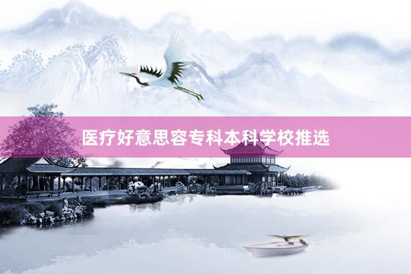 医疗好意思容专科本科学校推选