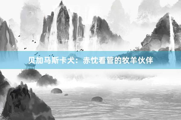 贝加马斯卡犬：赤忱看管的牧羊伙伴