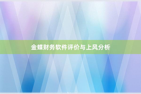 金蝶财务软件评价与上风分析