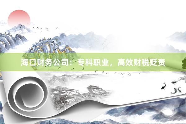 海口财务公司：专科职业，高效财税贬责