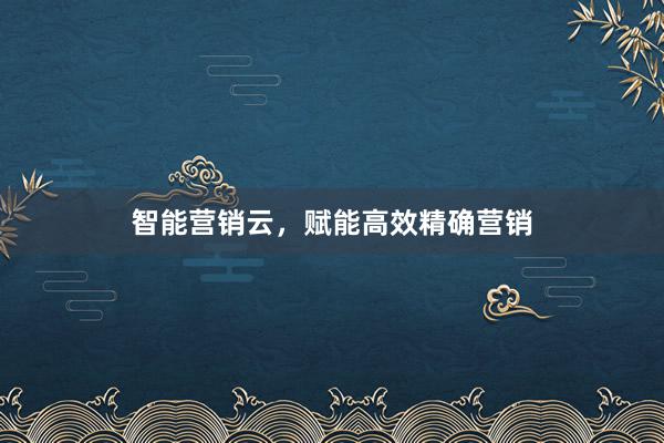 智能营销云，赋能高效精确营销